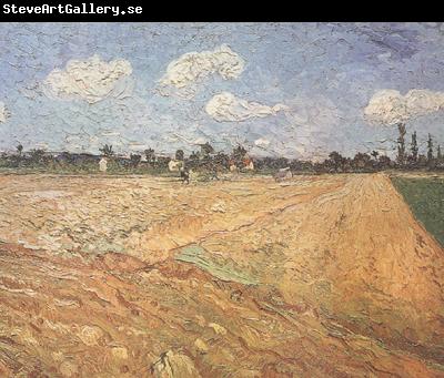 Vincent Van Gogh Ploughed Field (nn04)